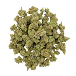 Amnesia 2.0 hydro