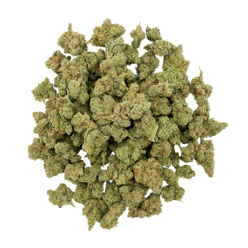Amnesia 2.0 hydro