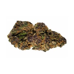 Purple fruit hydro