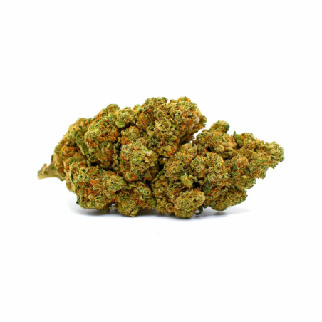 Amnésia Haze Hydro