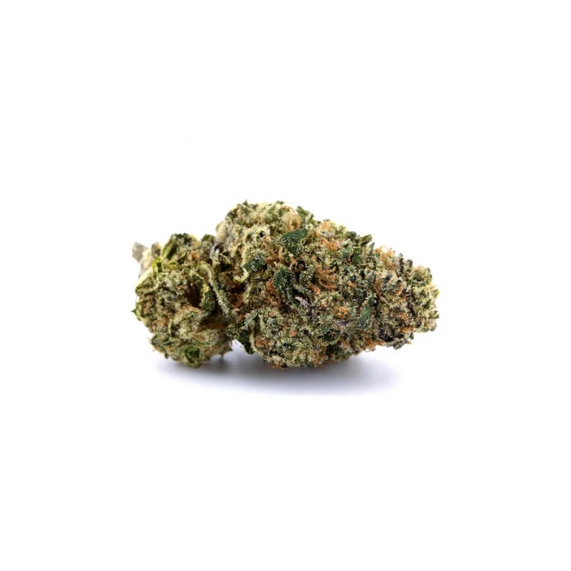 Gelato
