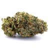 Gelato