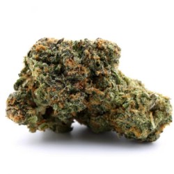 White Widow
