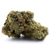 White Widow