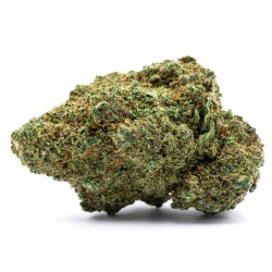 Ice Cream Cake Hydro