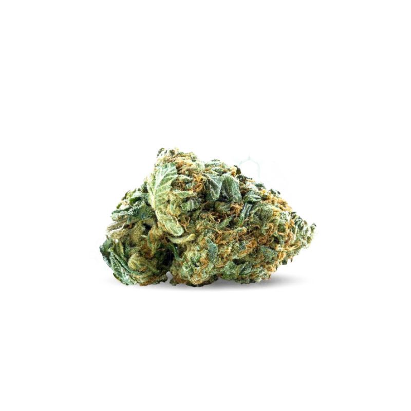 Skunk