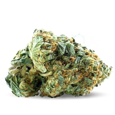 Skunk