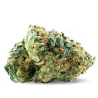 Skunk