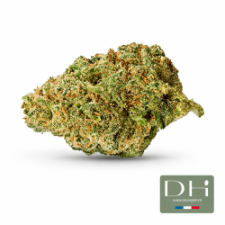 BlueBerry Hydro