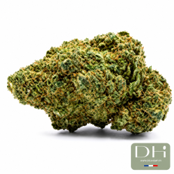 Ice Cream Cake Hydro