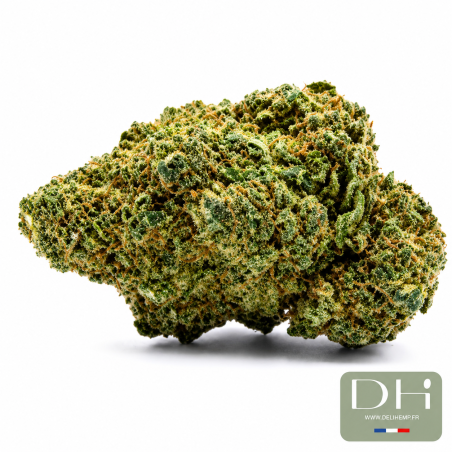 Ice Cream Cake Hydro