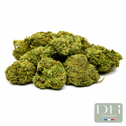 Lifter US Hydro