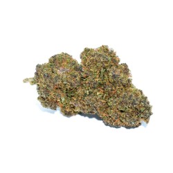 Purple fruit