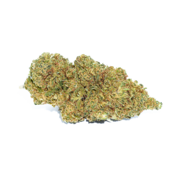 Orange BUD