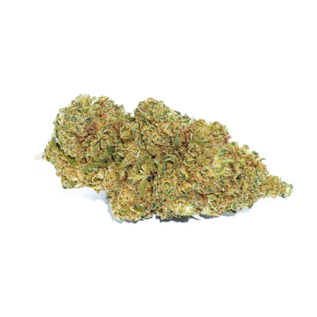 Orange BUD