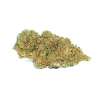 Orange BUD