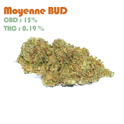 Orange BUD