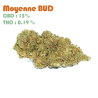 Orange BUD