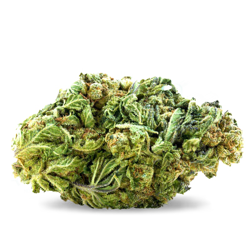 Jamaican Dream