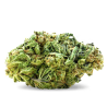 Jamaican Dream