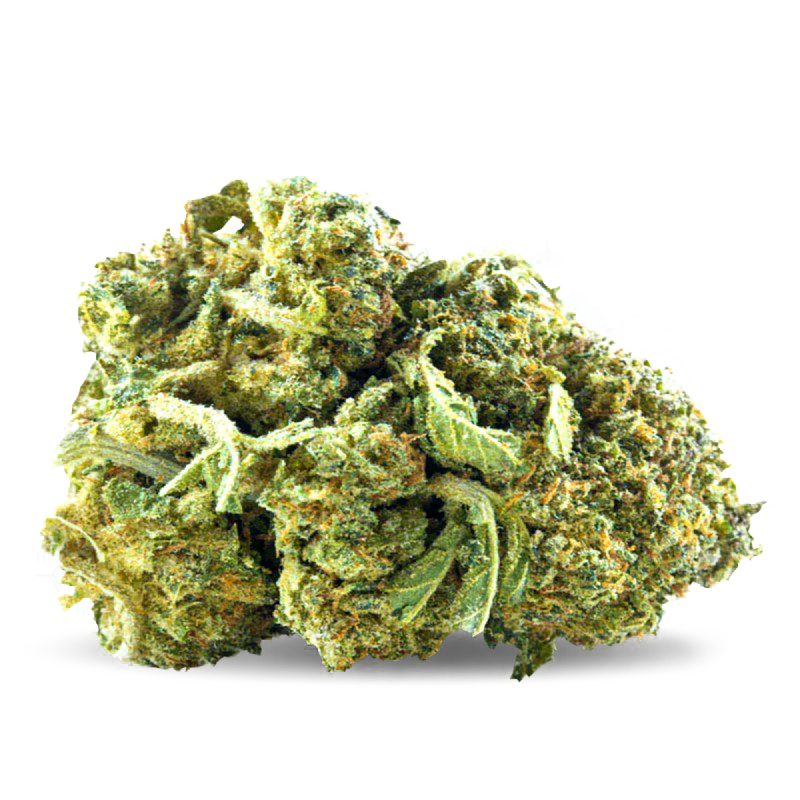 Jack Herrer
