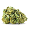 Jack Herrer